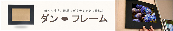 ダン・フレームのご案内